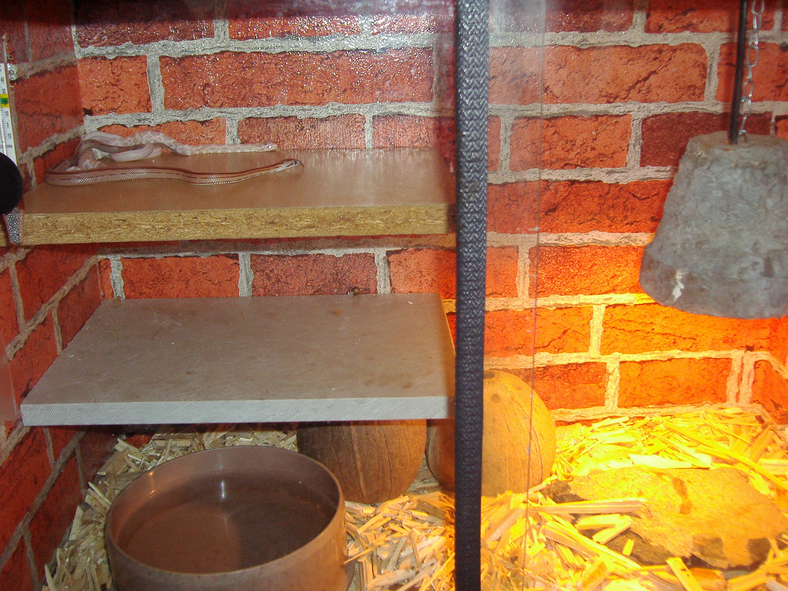  terárium 60 x 30 x 45